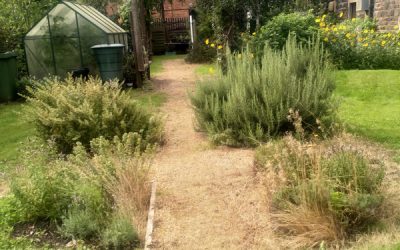 The Great Outdoors – Autumn at Wolves Play Cafe