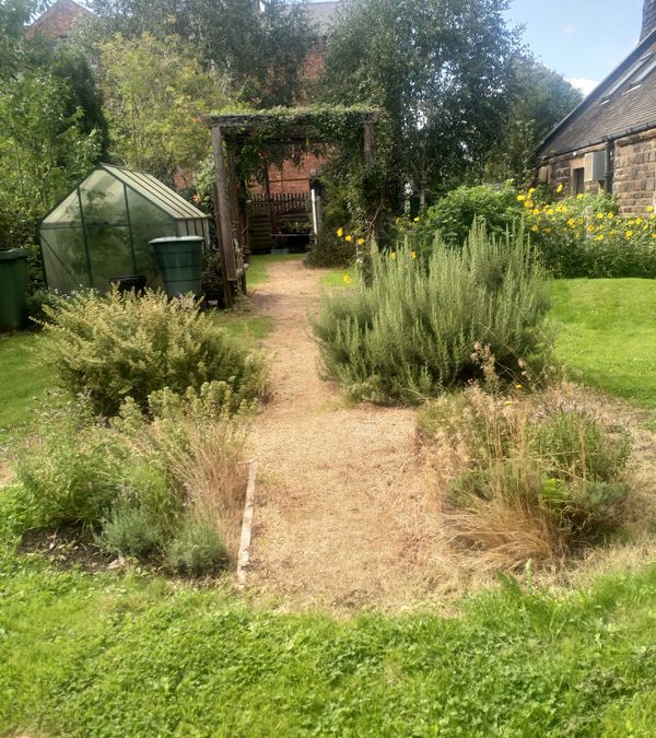 The Great Outdoors – Autumn at Wolves Play Cafe